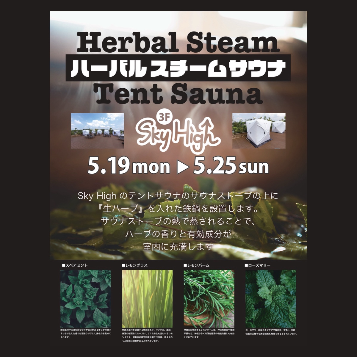 ハーバルスチームサウナ