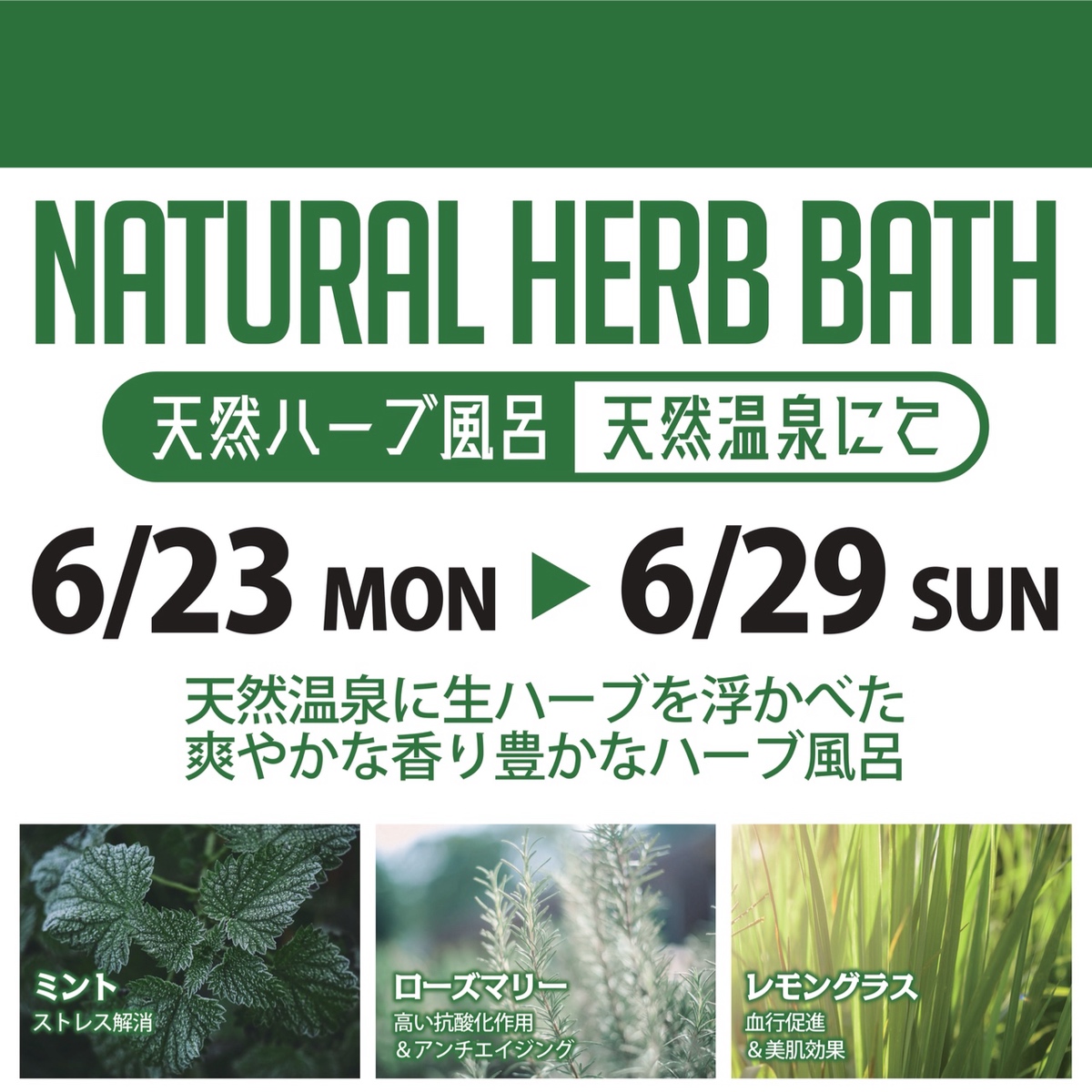 NATURAL HERB BATH