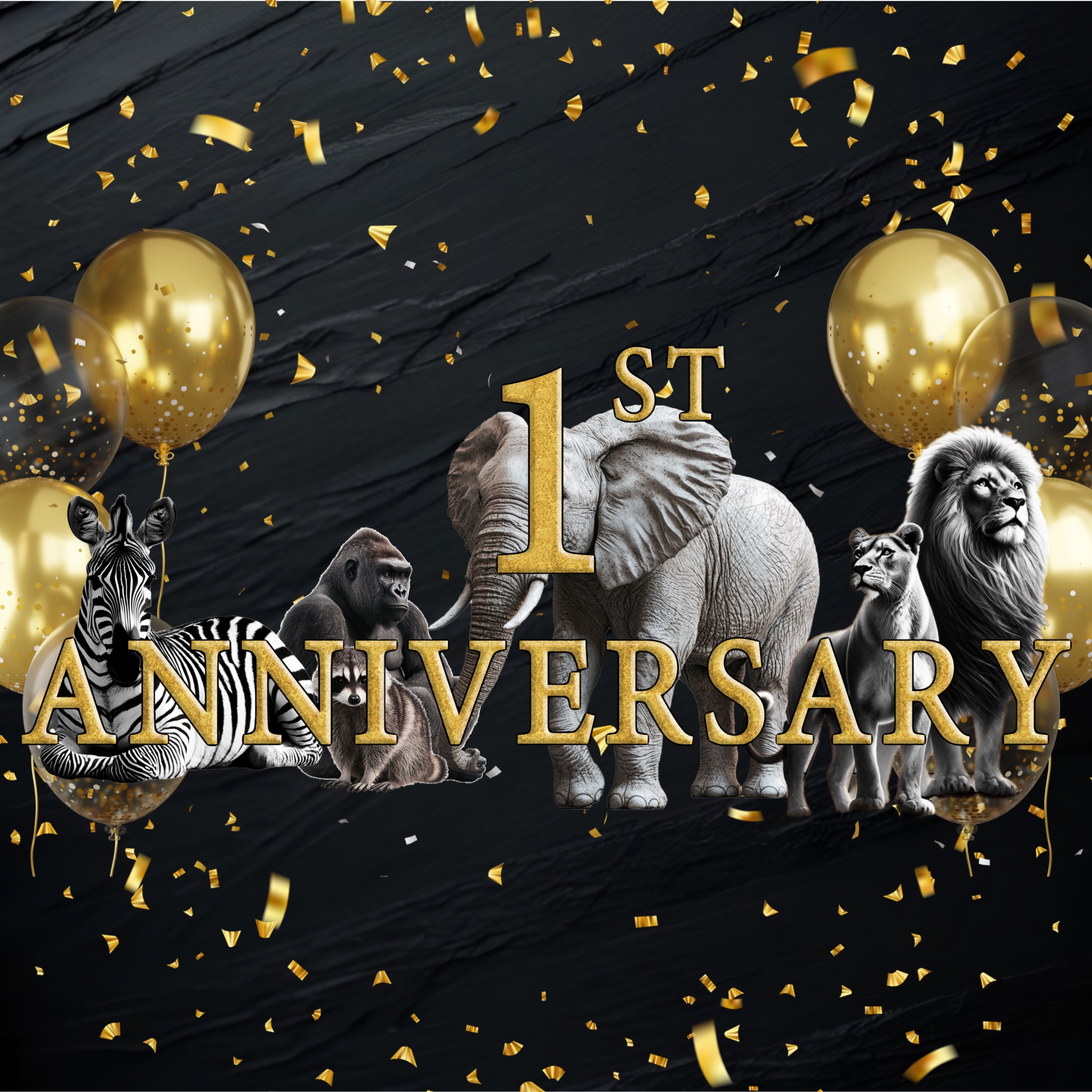 1st anniversary!!!