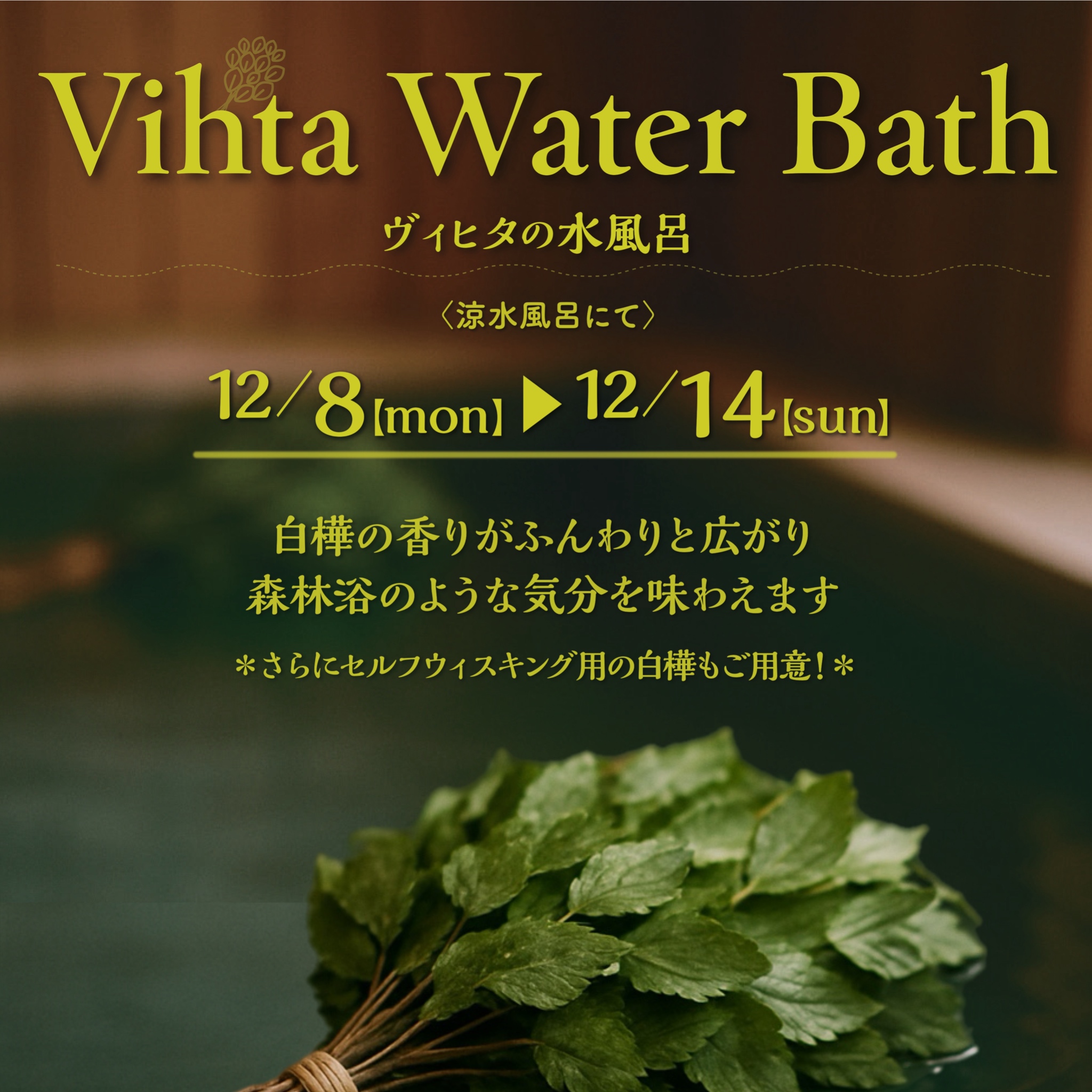 Vihta Water Bath
